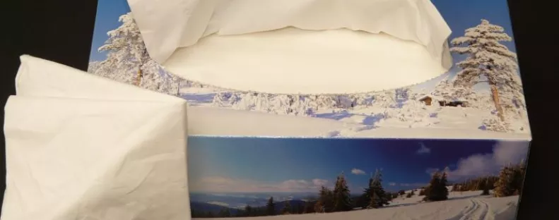 Milyen papírtermékekre lehet szükség egy háztartásban?